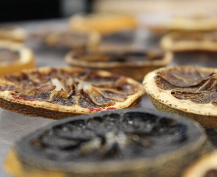 2024 03 WoP 1 Amreen 3