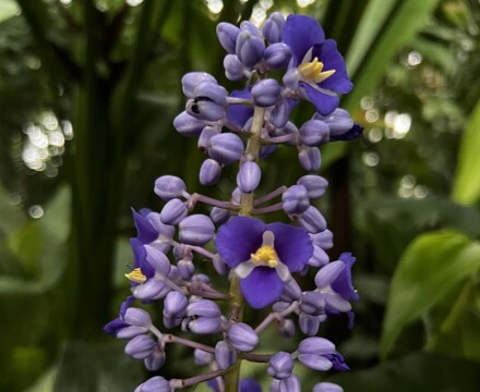 2024 03 WoP 3 Leah 3