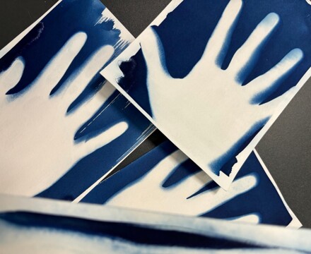 2024 06 Cyanotypes 5