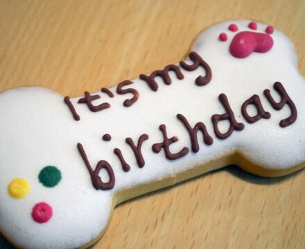 2025 05 Ada Bday 11