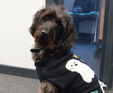 2025 10 Halloween 5  m