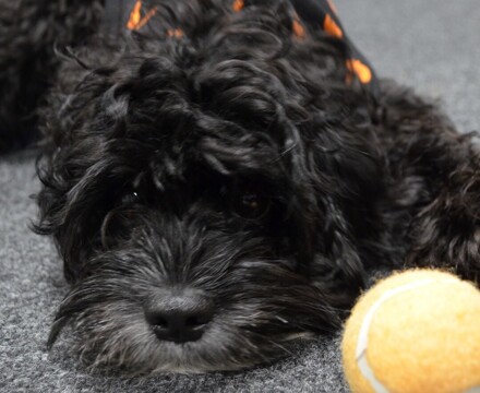 2025 10 Halloween 6  m