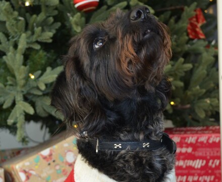 2025 12 Ada Photoshoot 2