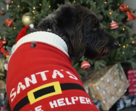 2025 12 Ada Photoshoot 3