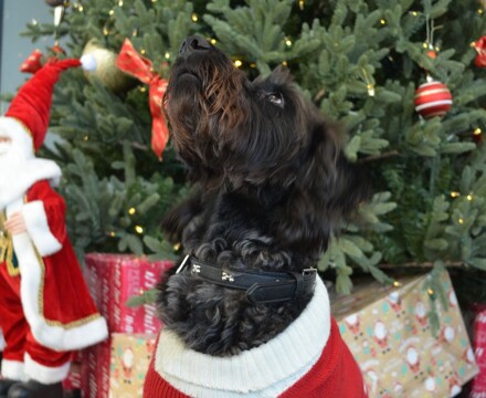 2025 12 Ada Photoshoot 4