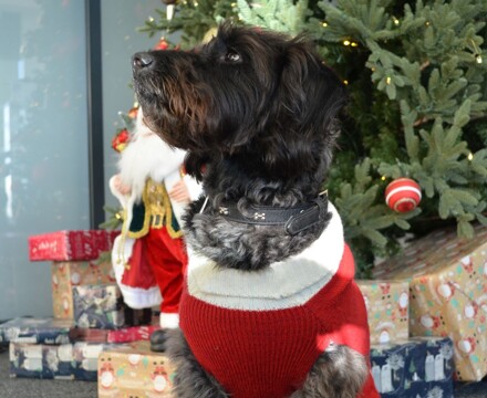 2025 12 Ada Photoshoot 5