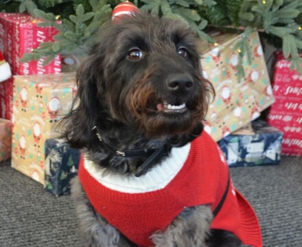 2025 12 Ada Photoshoot 6