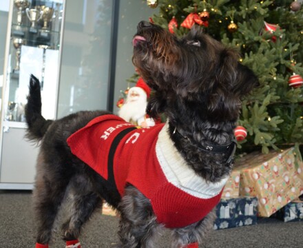 2025 12 Ada Photoshoot 7