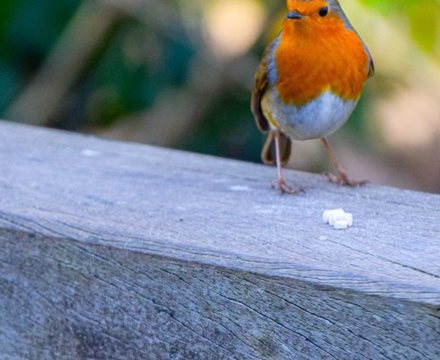 2022 03 Feb Photo Y9 Aidan