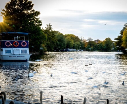 2022 11 Autumn Photo 2